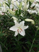 [5285 Avventura No01.JPG]